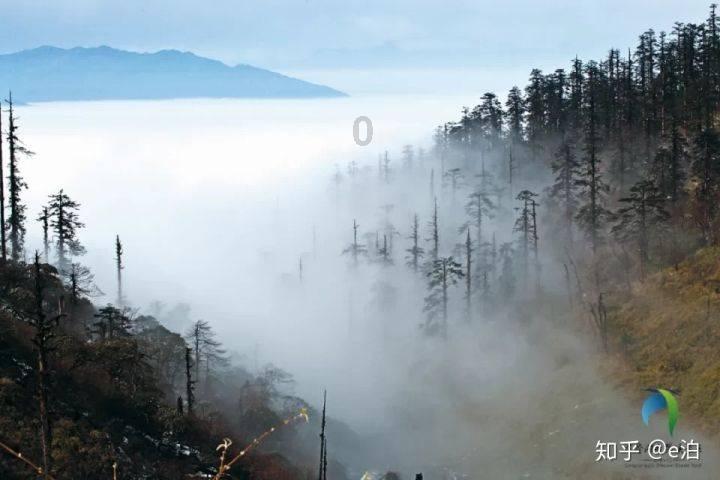 美妙森林找不同