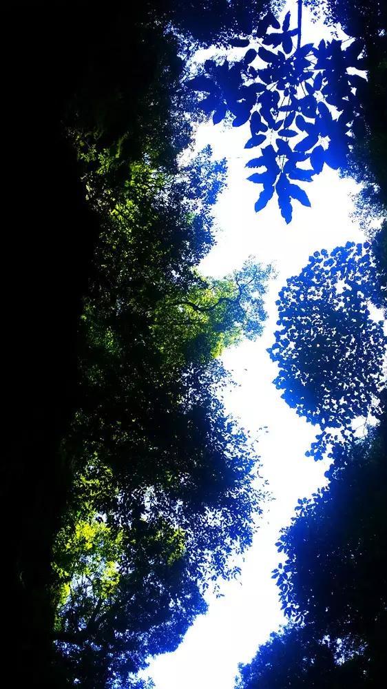 森迪公主快乐的一天