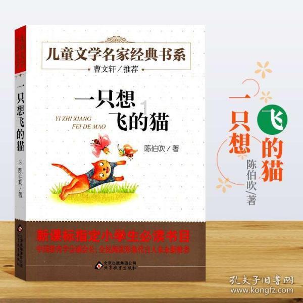 沙漠避难所