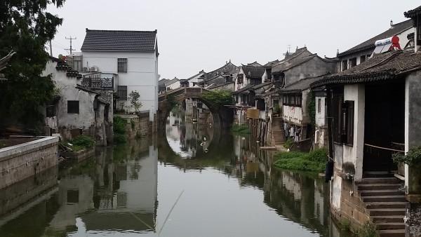 被催熟的“尖子生”，正沦为牺牲品：抢跑的恶果，或在10年内大爆发