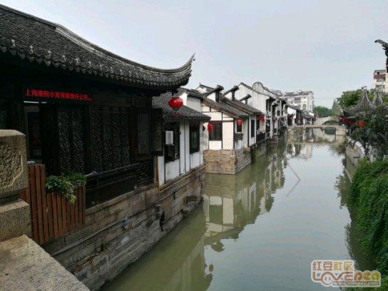 广东两会|胡智荣委员：促进慈善事业发展助力粤港澳大湾区高质量建设